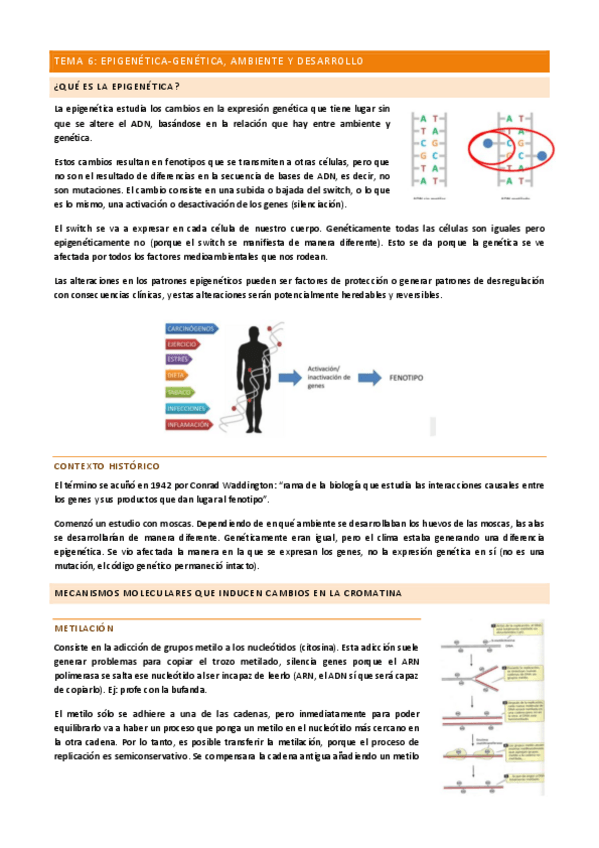 Miniatura del documento TEMA-6.pdf