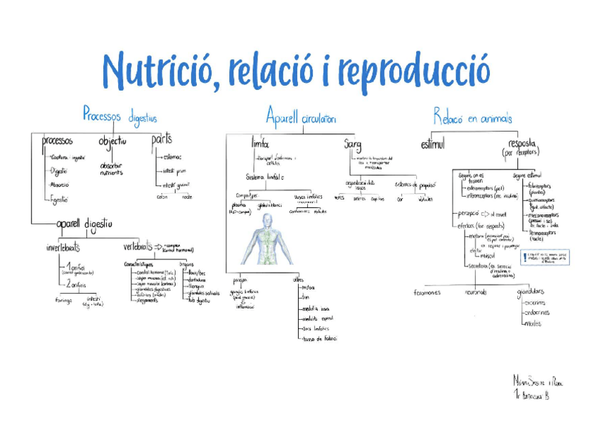 Miniatura del documento Esquema-Nutricion-relacion-y-reproduccion.pdf