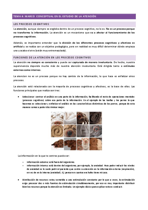 Miniatura del documento TEMA-4.pdf