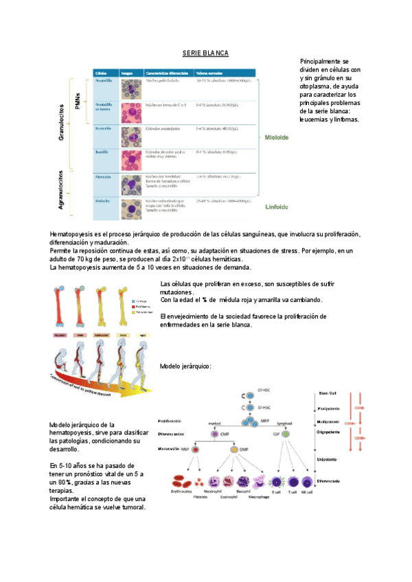 Miniatura del documento SERIE BLANCA 1.pdf