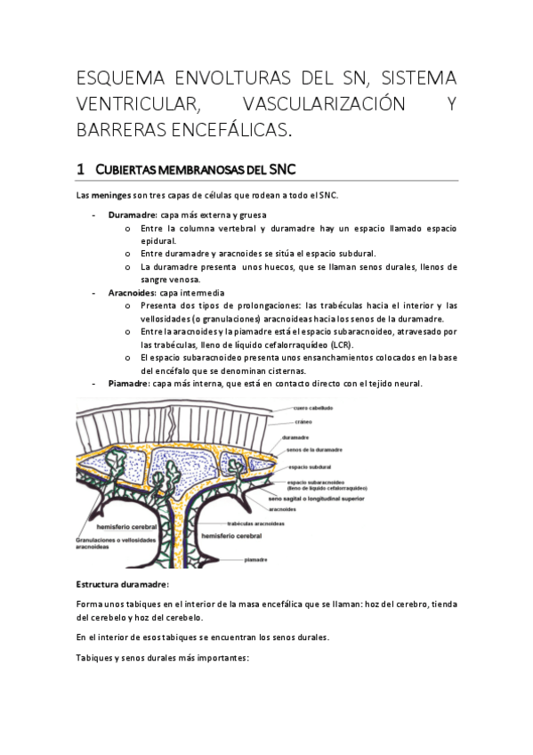 Miniatura del documento TEMA-6.pdf