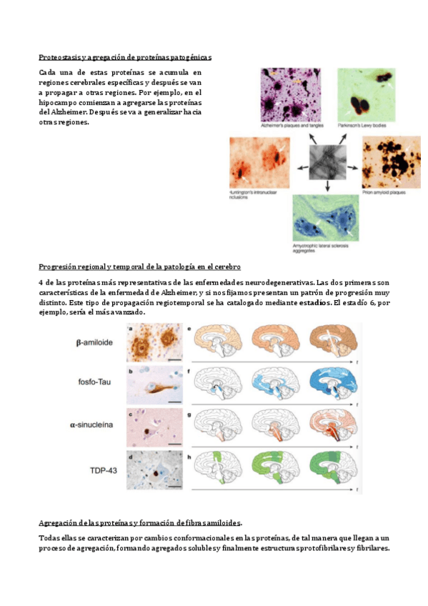 Miniatura del documento Bloque-III-parte-II.pdf