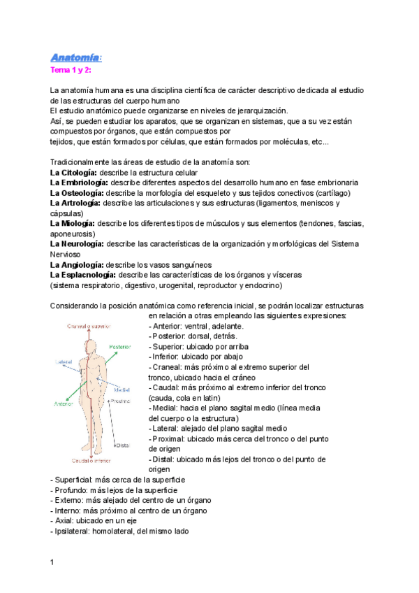 Miniatura del documento Anatomia-1o-cuatri-2223.pdf