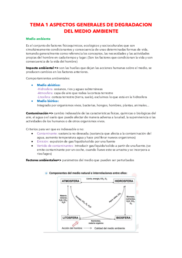 Miniatura del documento TEMA-1.pdf