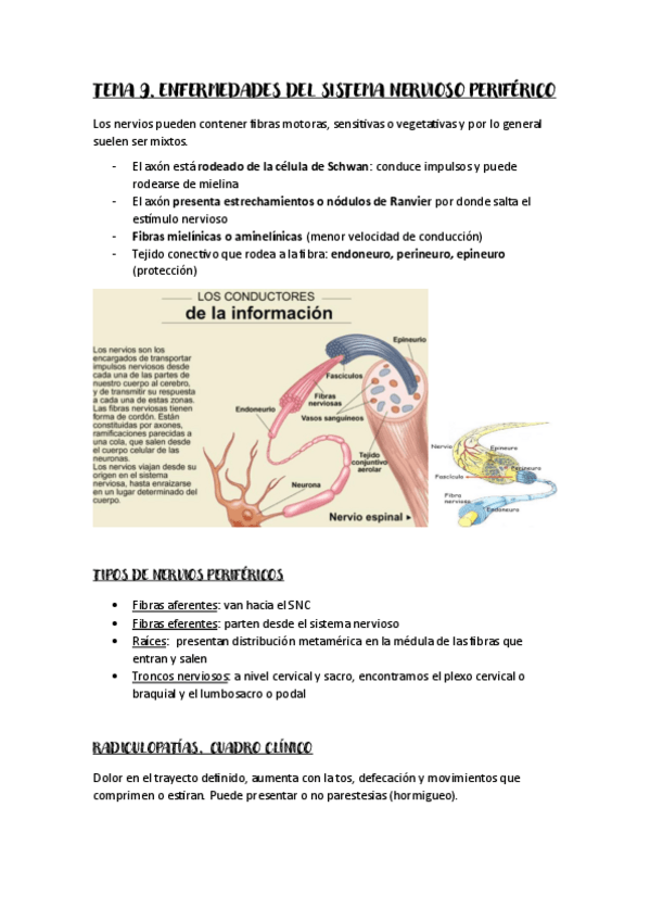 Miniatura del documento Tema-9-AFMQ-III.pdf