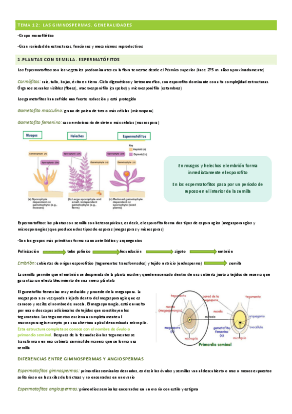 Miniatura del documento TEMA-12-BOTANICA.pdf