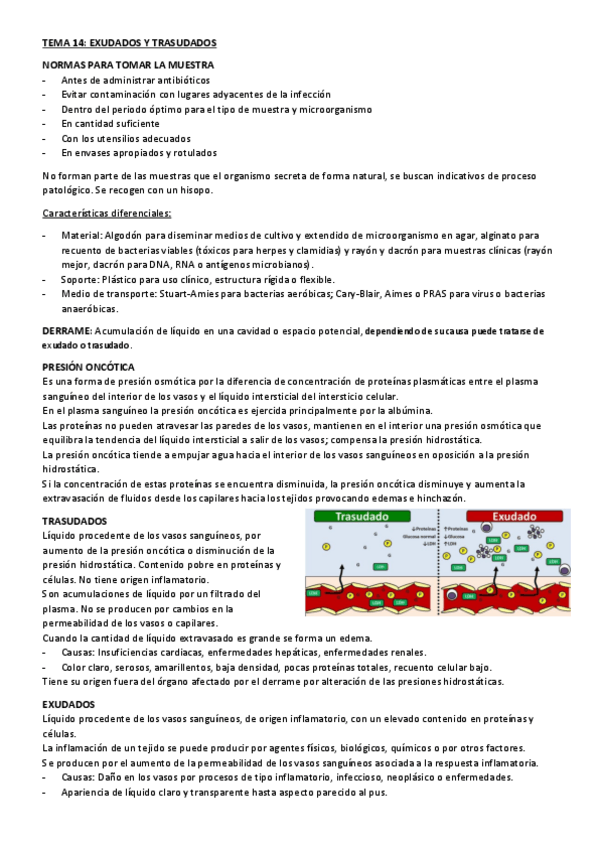 Miniatura del documento Resumen-tema-14-gestion-de-muestras-biologicas-1.pdf