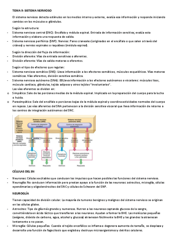Miniatura del documento Tema-9-fisiopatologia.pdf