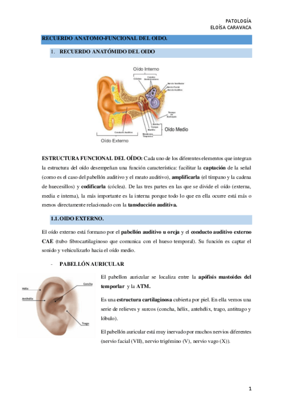 Miniatura del documento RECUERDO-ANATOMO-FUNCIONAL-DEL-OIDO.pdf