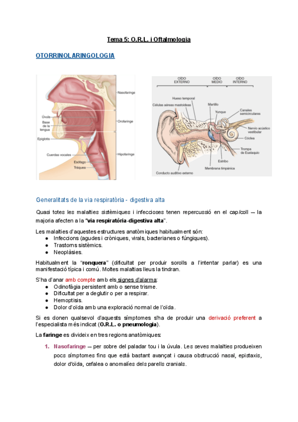 Miniatura del documento Tema-5-O.R.L.-i-Oftalmologia.pdf