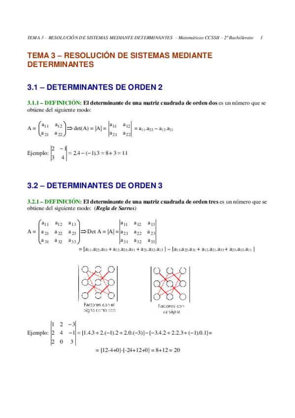 Miniatura del documento determinantes.pdf