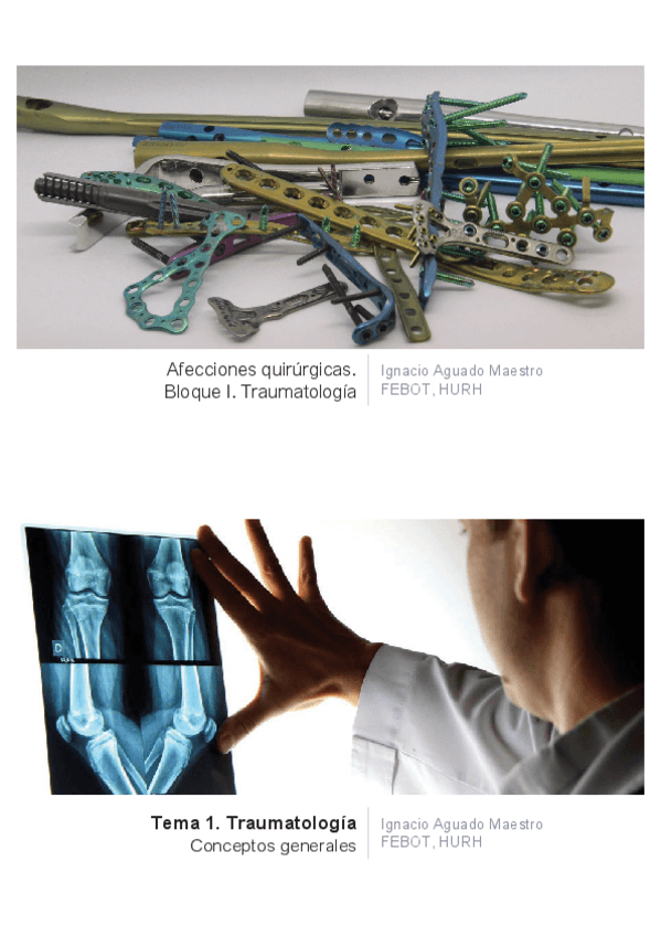 Miniatura del documento temas-1-7.pdf