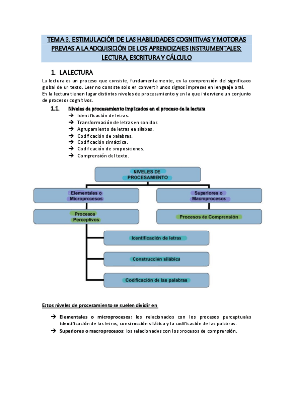 Miniatura del documento Tema-3.-Estimulacion-de-las-habilidades-cognitivas-y-motoras-previas-a-la-adquisicion-de-los-aprendizajes-instrumentales-lectura-escritura-y-calculo.pdf