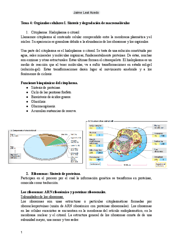 Miniatura del documento Tema 4: Orgánulos celulares I.pdf