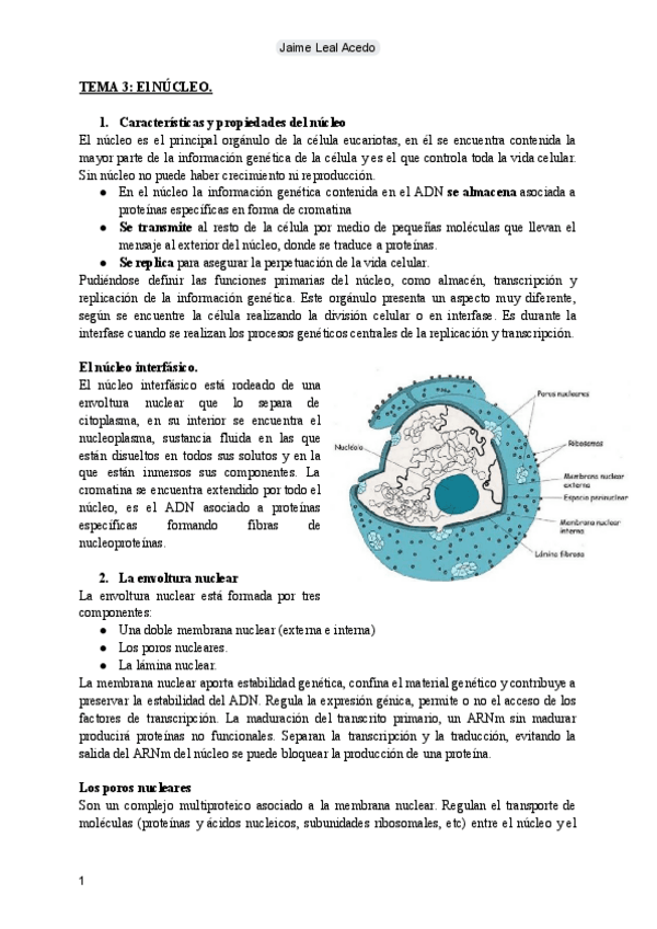 Miniatura del documento Tema 3: El núcleo.pdf
