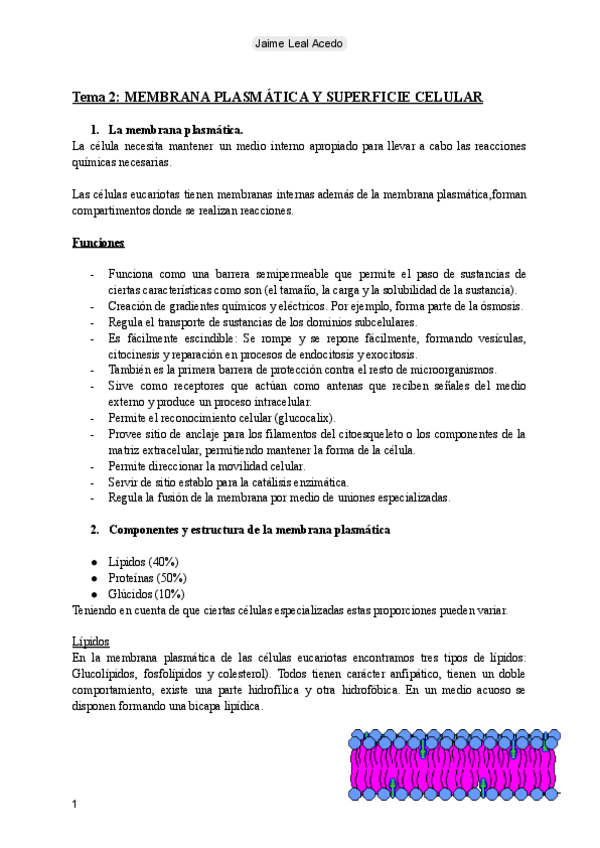 Miniatura del documento Tema 2: Membrana plasmática y superficie celular.pdf