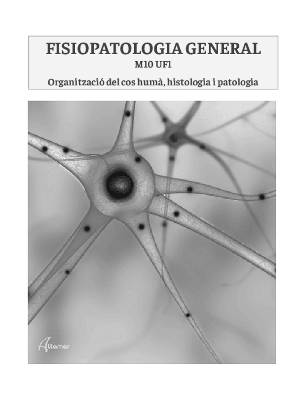 Miniatura del documento les-cellules.pdf