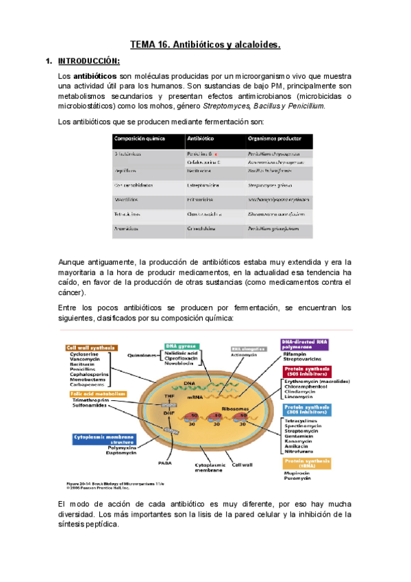 Miniatura del documento Tema-16.docx-1.pdf