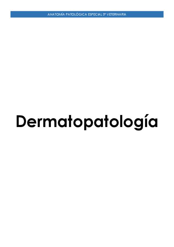 Miniatura del documento Dermatopatologia.pdf