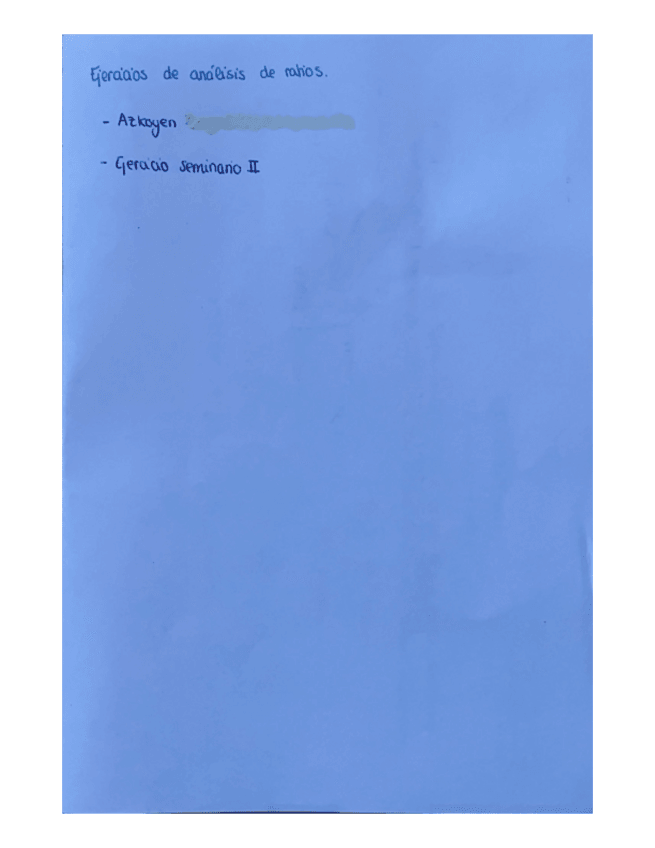 Miniatura del documento ANALISI-DE-RATIOS.pdf
