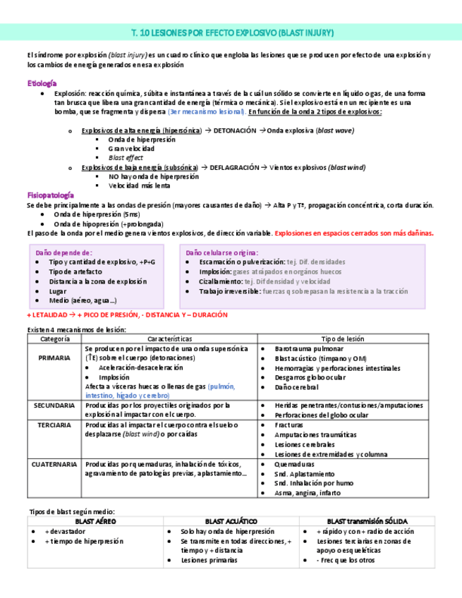 Miniatura del documento T.10.pdf