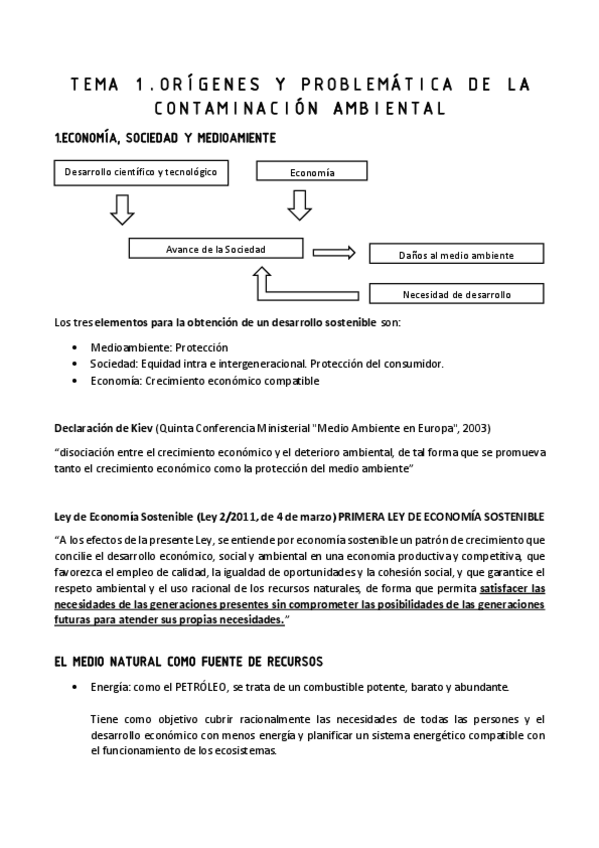 Miniatura del documento TEMARIO-COMPLETO.pdf