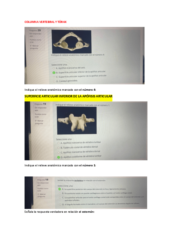 Miniatura del documento OSTEO-PREGUNTAS.pdf