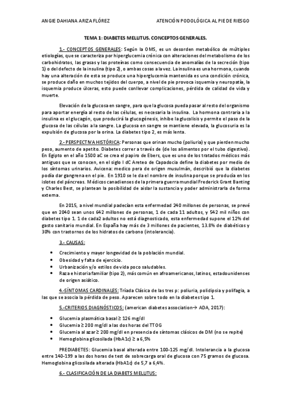Miniatura del documento pie de riesgo (T1.T12)+anexos.pdf