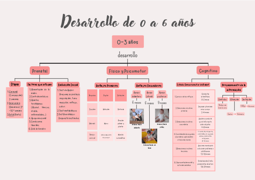 Miniatura del documento Mapa-mental..pdf