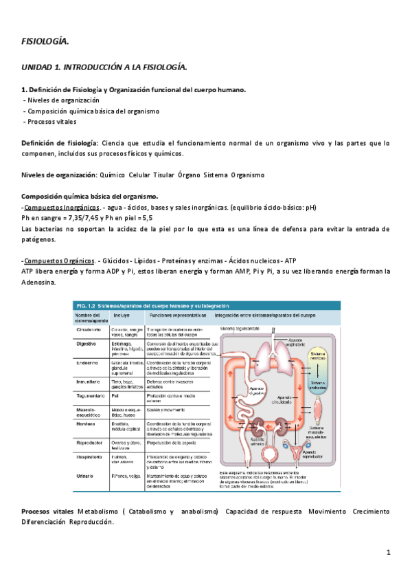 Miniatura del documento Copia-de-Apuntes-fisiologia.pdf