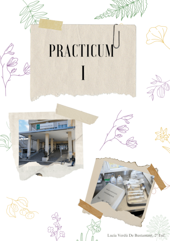 Miniatura del documento Portafolio-Practicum-I-2o-Enf..pdf