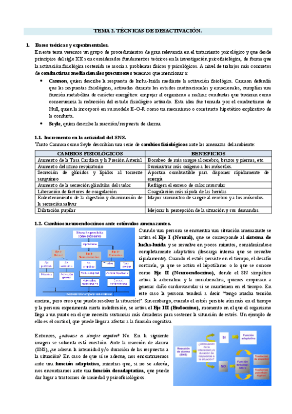 Miniatura del documento T2-TECNICAS-DESACTIVACION.pdf