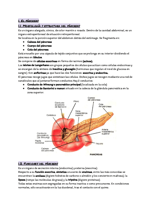 Miniatura del documento Tema-16.-El-aparato-digestivo-II.pdf