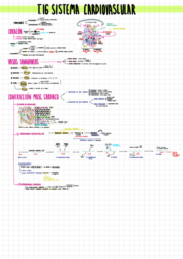 Miniatura del documento 1o-PARCIAL-parte-3.pdf