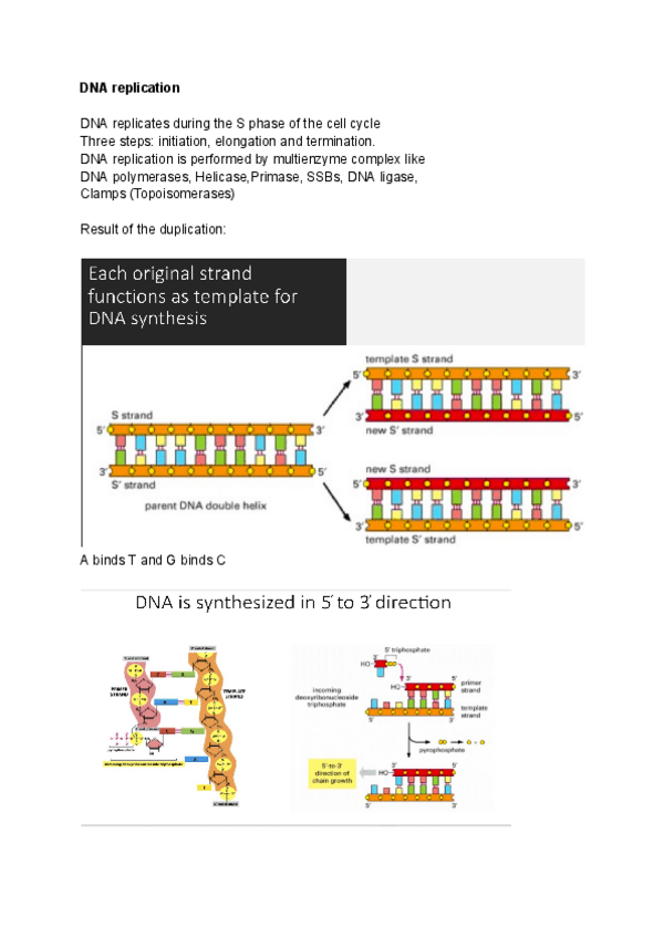 Miniatura del documento Lecture-3-Replication-I.pdf
