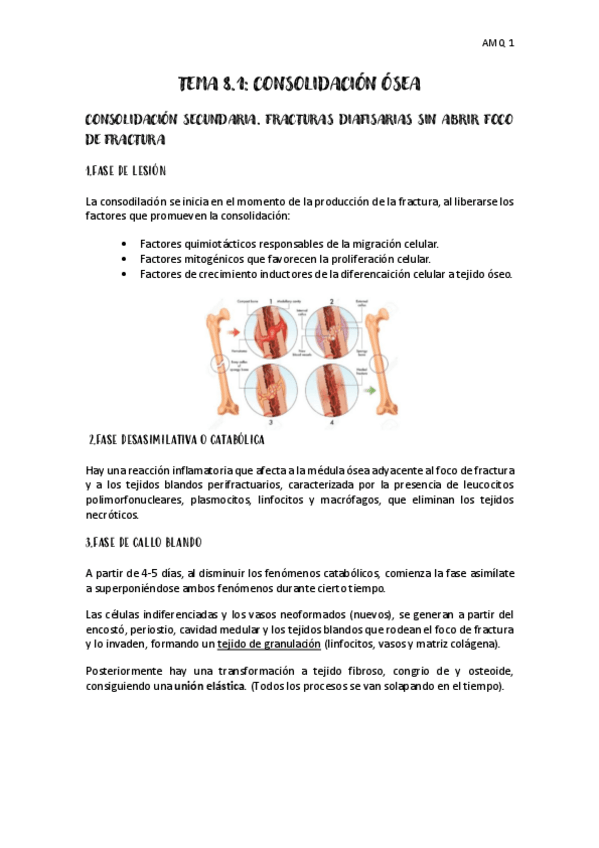 Miniatura del documento TEMA-8.1-AFECCIONES-I.pdf