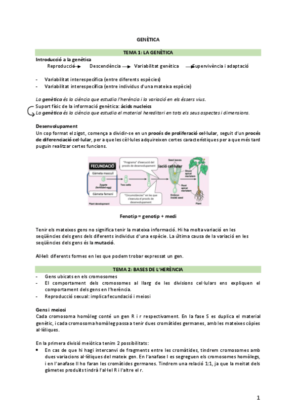 Miniatura del documento genètica apunts 1rP.pdf