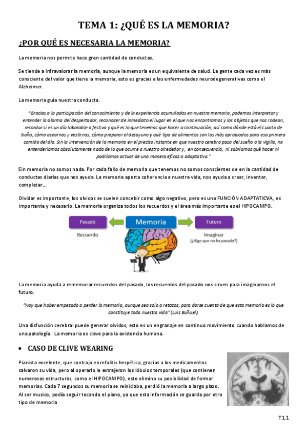 Miniatura del documento T1_QUE ES LA MEMORIA.pdf
