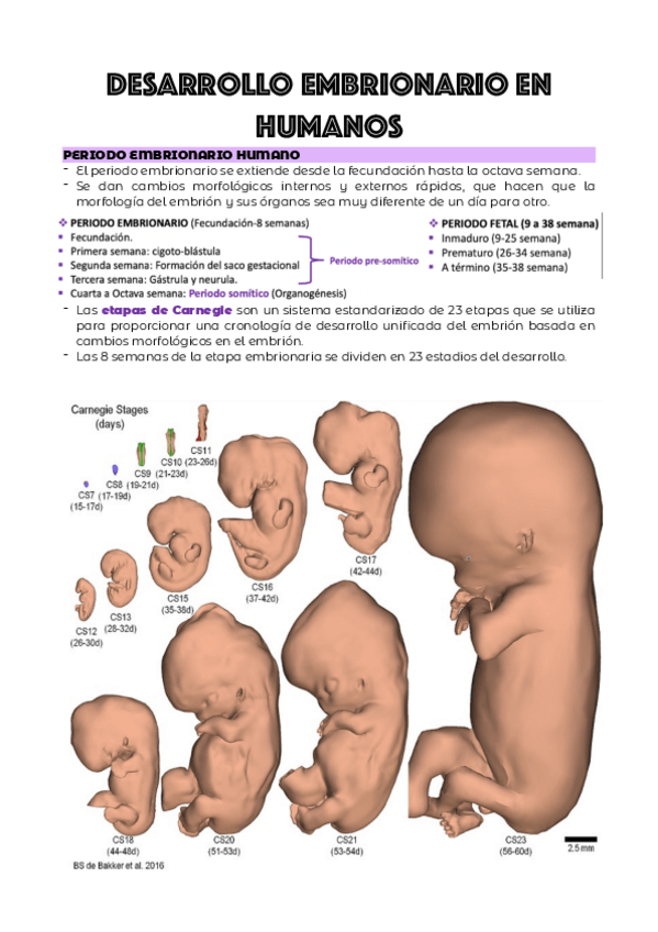 Miniatura del documento TEMA-6.pdf
