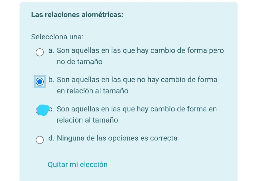 Miniatura del documento Cuestionario Práctica 4 (NOTA 10).pdf