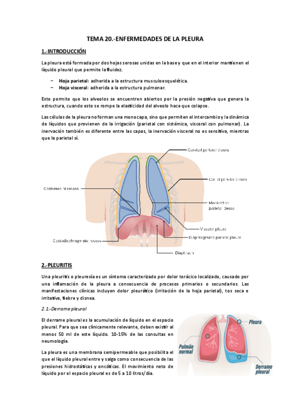 Miniatura del documento Tema 20.-Enfermedades de la pleura.pdf