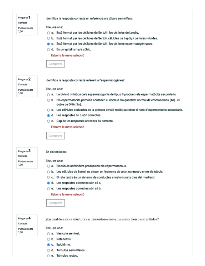 Miniatura del documento Questionari-resposta-multiple-Genital-masc.-Con-soluciones..pdf