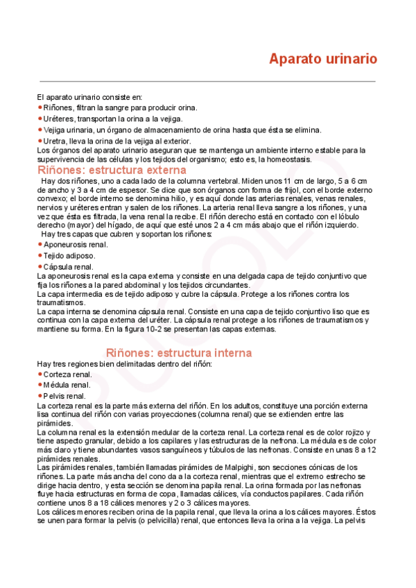 Miniatura del documento Aparato-Urinario.pdf