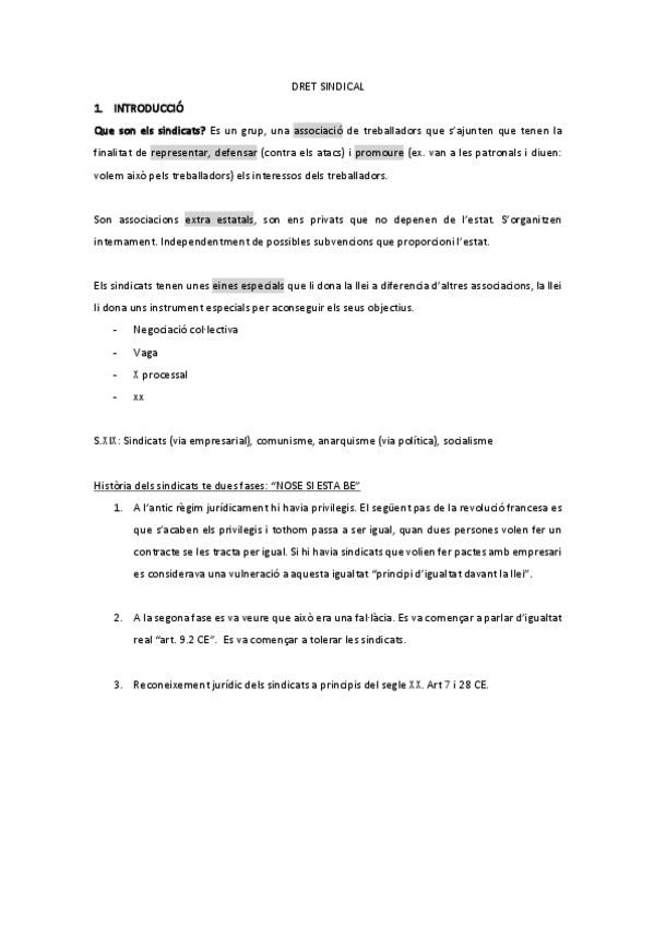 Miniatura del documento DRET-SINDICAL.pdf