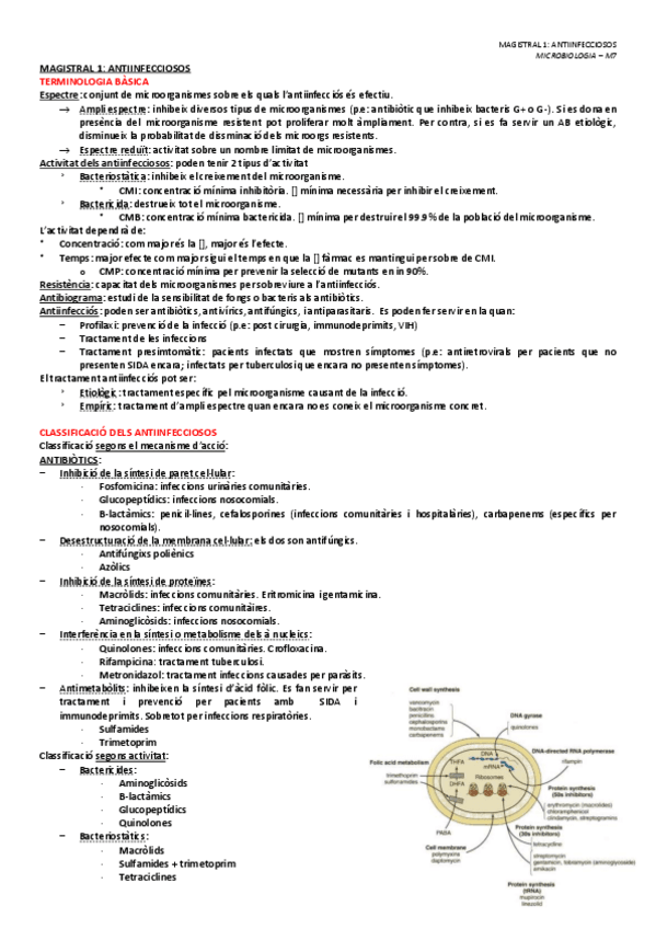 Miniatura del documento MAGISTRAL-1-ANTIMICROBIANS.pdf