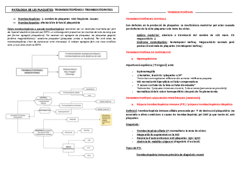 Miniatura del documento 101.-PATOLOGIA-DE-LES-PLAQUETES.pdf