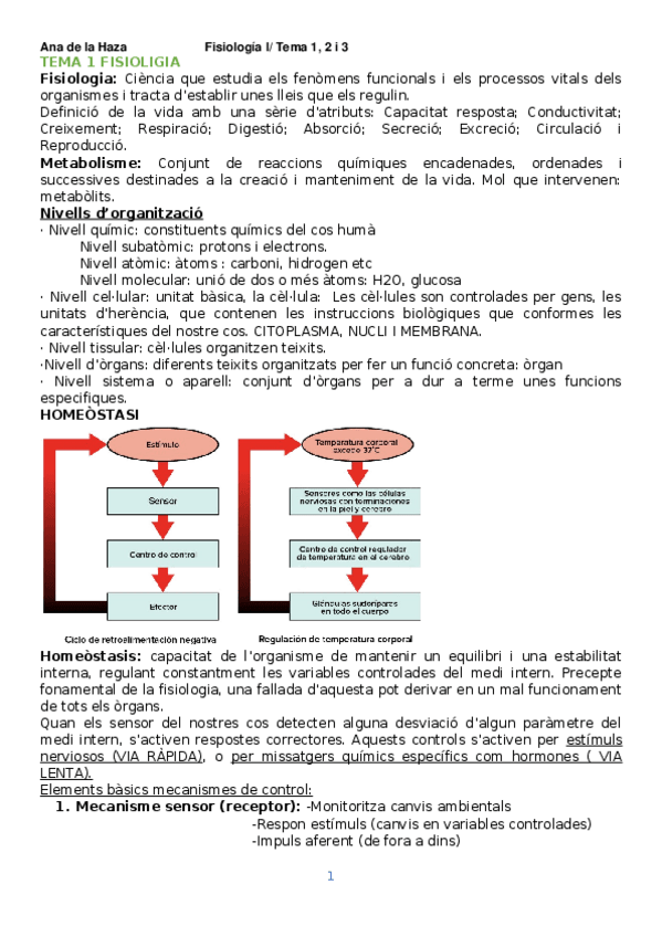 Miniatura del documento Resumen-Examen.docx