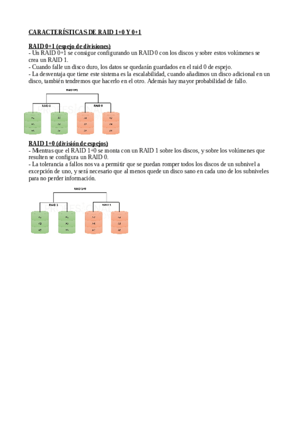 Miniatura del documento Caracteristicas-de-RAID-10-y-01.pdf