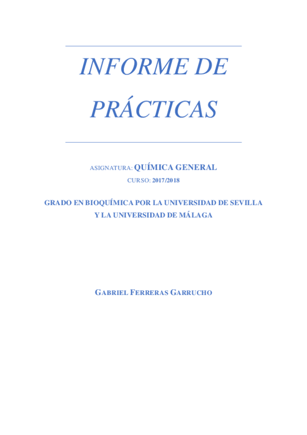 Miniatura del documento INFORME.pdf