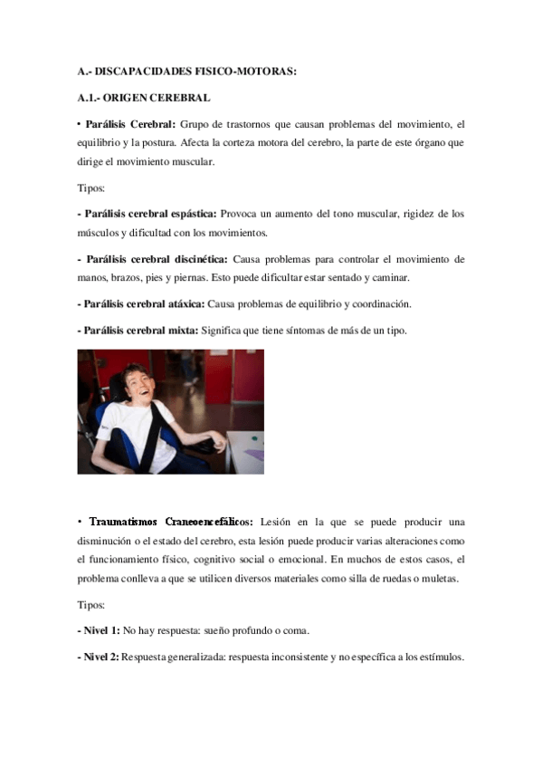 Miniatura del documento Trabajo individual tipos de discapacidad.pdf